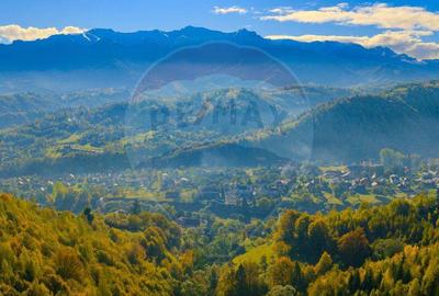 Teren de 11381 mp, în Moieciu