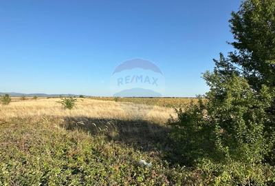 Teren extravilan de vanzare - 19.963 mp, E68 Mandruloc-Vladimirescu - 8