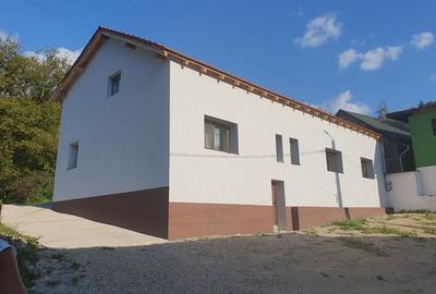 Casă cu 3 camere cu Teren 880 Mp în Văliug - 1