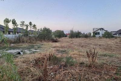 De vanzare teren intravilan 4685 mp, Cornetu-aproape de A0 - 5