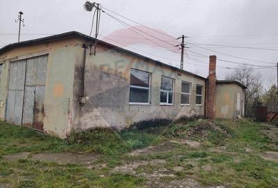 Casă cu 5 camere cu Teren 7531 Mp în Sacu - 1