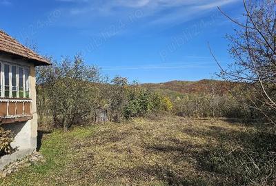 Casă cu 2 camere în Bălteni - 5