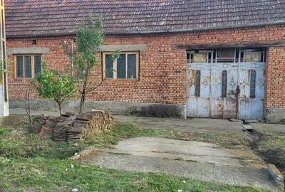 Berliste, Casa 6 Incaperi, 1129mp Teren, Pret Negociabil Berliste, Casa 6 Incaperi, 1129mp Teren, Pret Negociabil - 16