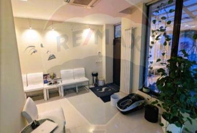 Vila spatiu de lux de inchiriat in Bucuresti, Cotroceni (clinica) - 12