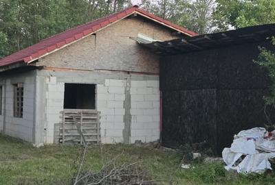 Casă individuală cu 2 camere cu Teren 7769 Mp în Budieni - 10
