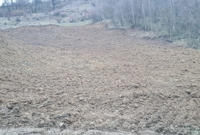 Teren de 3200 mp, în Budeasa - 6