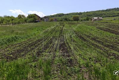 Teren Construcții intravilan de 2900 mp, în Vâlcele - 1