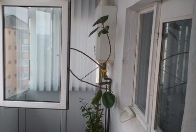Apartament cu 3 camere decomandat în Micro 12 - 3