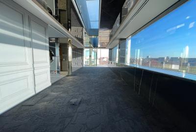 Vanzare Vila Exclusivista Aviatorilor - 14