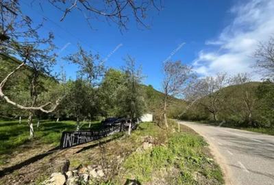 Teren 2000mp | Muntele Mic - 3