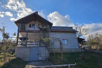 Casă cu Teren 6772 Mp în Ursoaia