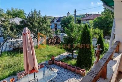 Teren intravilan + casa zona Fintesti - 11