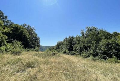 Teren Extravilan in mijlocul naturii. - 10