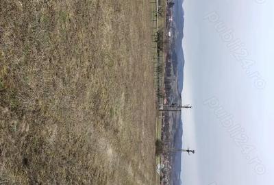 Teren de 3000 mp, în Vața de Jos - 8
