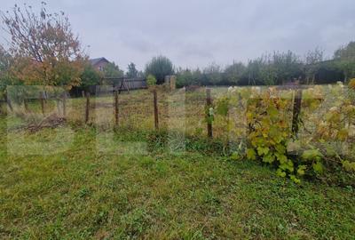 Teren Intravilan Harman cu utilitati , ingradit si casauta de lemn pe teren - 6