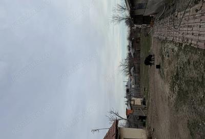 Vand casa in comuna balta alba ,buzau - 4