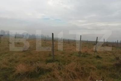 Teren de 600 mp, în Central - 1