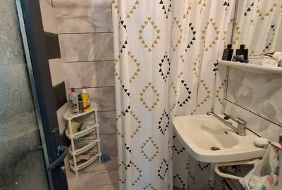 Apartament cu 2 camere decomandat, mobilat în Alexandru cel Bun - 4