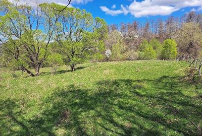 Teren de 3600 mp, în Central - 6