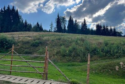 Spațiu comercial, în Central - 5