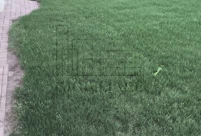 Casă individuală cu 4 camere cu Canalizare în Corușu - 18