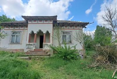 Casă cu 3 camere în Central - 1