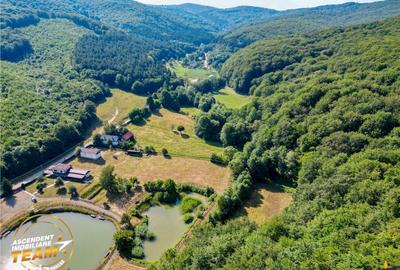 Spațiu comercial, în Valea Dobârlăului - 12