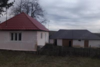 Casă în Aleșd - 1