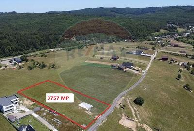 Teren 3,757mp Paltinoasa / Strada principala - 15