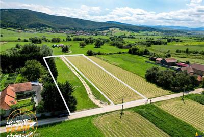 Teren de 2900 mp, în Dobârlău - 4