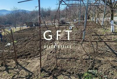 Casă cu 5 camere cu Teren 1450 Mp în Viișoara - 11