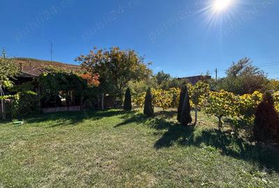 Casa de vanzare in Cuvin - 7