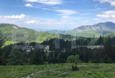 Spațiu comercial, în Părău - 3