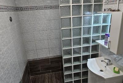 Piata Alba Iulia - 3 camere decomandat, 80 mp, etaj 2, mobilat complet - 14