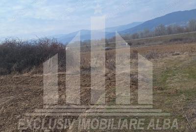 Teren agricol de vanzare, Salistea - 2