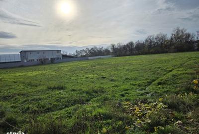 Teren de 7200 mp, în Sud - 3