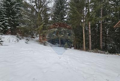 Teren Construcții intravilan de 430 mp, în Est - 2