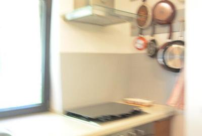 Vila de vacanta situata in Predeal-Cioplea - 1