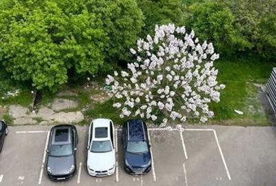 Apartament cu 2 camere decomandat în Sud - 5