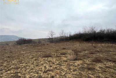 Teren Construcții extravilan de 905 mp, în Sigmir - 5