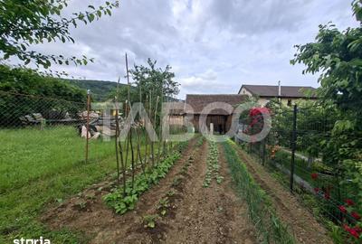 Casă cu 2 camere nedecomandat cu Teren 580 Mp în Axente Sever - 15