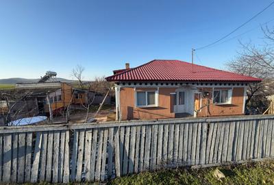 Casă cu 4 camere cu Teren 4382 Mp în Somova - 4