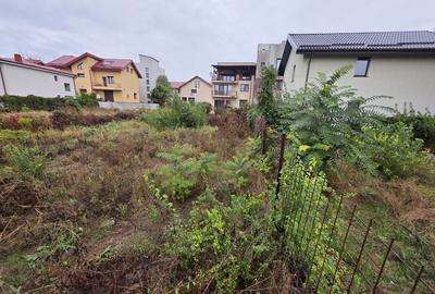 Nicolae Grigorescu, chiar la pasajul peste Splaiul Unirii, in planul 2 - 2