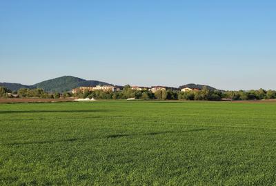 Teren Construcții intravilan de 10280 mp, în Rulmentul - 5