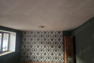 Casă cu 5 camere cu Teren 1000 Mp în Ciclova Română - 3