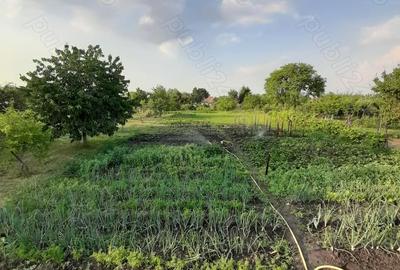 Casă cu 2 camere cu Teren 2000 Mp în Central - 3