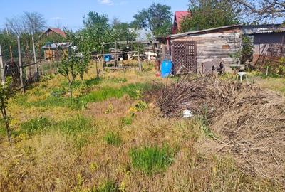 Teren de 700 mp, în Beba Veche - 1