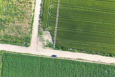 Teren Construcții intravilan de 2000 mp, în Dumbrăveni - 6