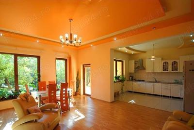 Vila, Timisoara, zona Bucovina, P+E+M, 6 dormitoare + anexa cu ap cu 2 cam, 470mp teren - 2