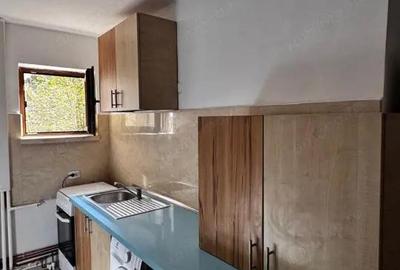 Apartament 2 camere 1 Mai Insula - 5